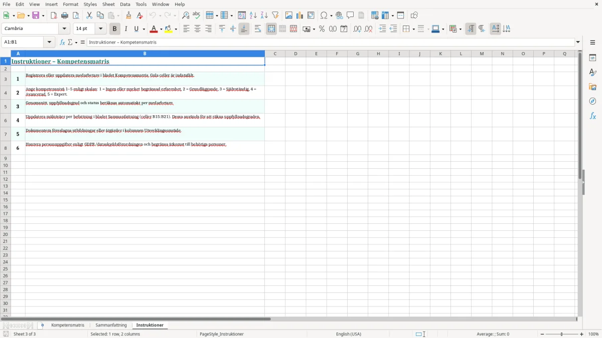 Skärmbild 3: fliken Instruktioner - Excelmall kompetensmatris excel mall