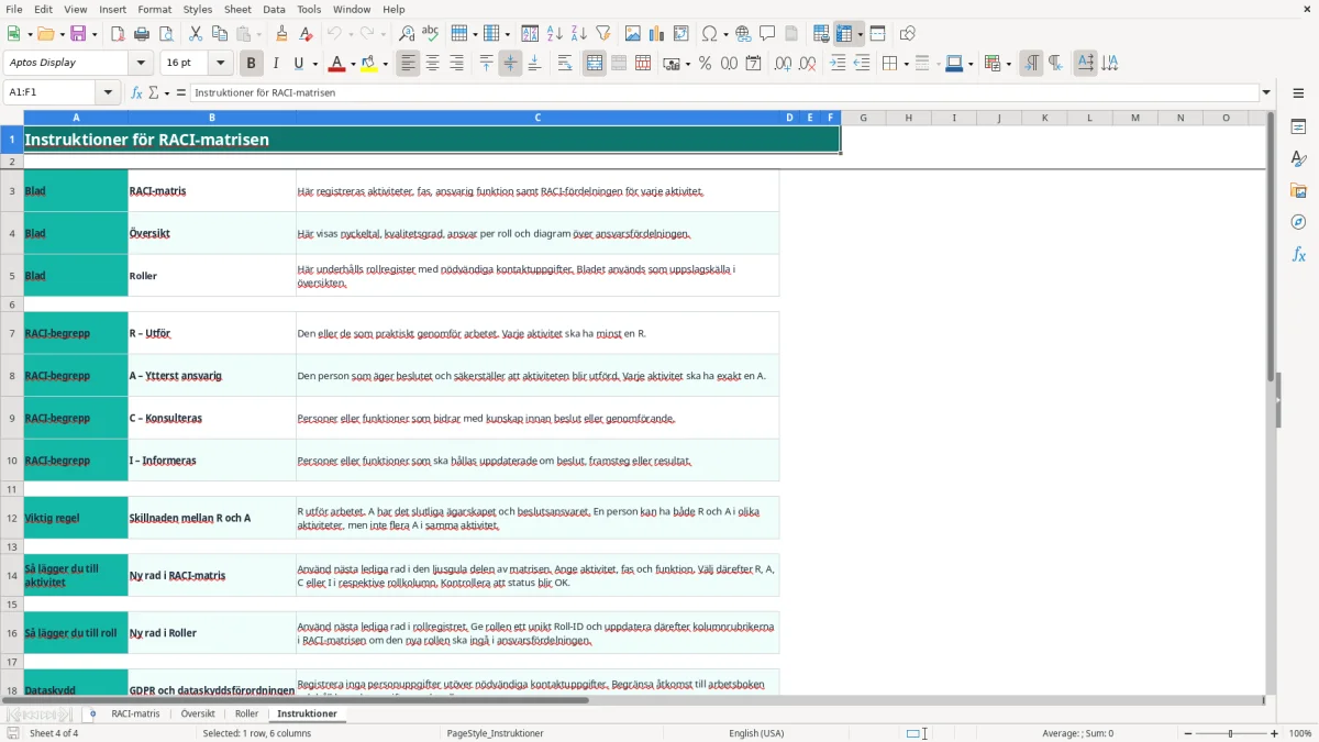 Skärmbild 4: fliken Instruktioner - Excelmall raci matris excel mall